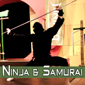 Portfolio-Header-ninja